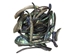 Paua Shell Wings/Fans: Satin: Unsorted (1/4 lb) - 565Z-TPWSU-AS
