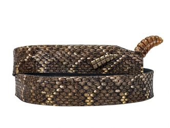 1.25" Double Sided Real Rattlesnake Hat Band with Real Rattle rattlesnake hatbands