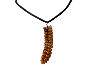Real Rattlesnake Rattle Necklace: Black & Silver 
