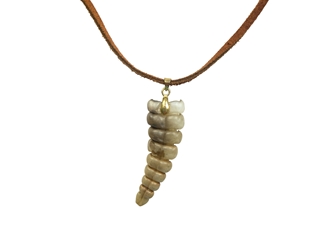 Real Rattlesnake Rattle Necklace: Brown & Gold 