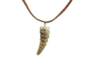 Real Rattlesnake Rattle Necklace: Brown & Gold 