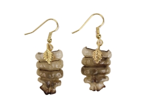 Real Rattlesnake Rattle Earrings: Small: Gold 