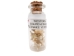 Real Rattlesnake Vertebrae in a Jar - 598-JV-AS (Y1XC09)