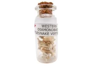 Real Rattlesnake Vertebrae in a Jar 