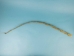 Mannagrass Braid - 63-30-AS (Y3KRH)