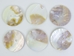 Freshwater Mother Of Pearl Button: 100L (63.5mm or 2.5&quot;) - 675-100L (Y2L)