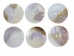 Freshwater Mother Of Pearl Button: 120L (76.2mm or 3") - 675-120L (Y2GC03)