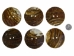 Freshwater Mother Of Pearl Button: 120L (76.2mm or 3") - 675-120L (Y2GC03)