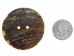 Freshwater Mother Of Pearl Button: 80L (51mm or 2") - 675-80L (Y2HC20)