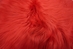 Dyed Icelandic Sheepskin: Coral: 90-100 cm or 36" to 40" - 7-00CO-AS (Y1E)