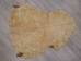Dyed Icelandic Sheepskin Shearling: Suede: Cognac (sq ft) - 7-50-CGW-AS (Y1L)