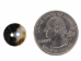 Brown Mother Of Pearl Button: 20L (12.5mm or 0.492") - 872-20L (Y2LC06)