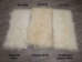 Tibet Lamb Plate: Bleached White - 167-A049 (Y2GRI)