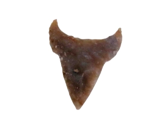 Flint Cow Skull 