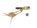 Iroquois Stubby Pipe: Bear Paw - 102-121-04 (Y1MC04)