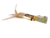 Iroquois Stubby Pipe: Bear Paw - 102-121-04 (Y1MC04)