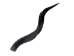 Kudu Horn: Medium (27" to 33") - 1024-ME (Y1HRF)