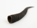 Springbok Horn: Medium: ~6" to 9" - 1025-ME (Y1KRJ)