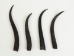 Springbok Horn: Medium: ~6" to 9" - 1025-ME (Y1KRJ)