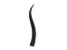 Springbok Horn: Medium: ~6" to 9" - 1025-ME (Y1KRJ)