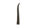 Springbok Horn: Small: ~4.5" to 6" - 1025-SM (Y1XC16)