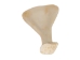 Deer Shoulder Blade - 1137-11 (Y2LRE)