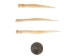 Deer Needle Bone - 1137-25 (Y2DC01)