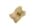 Deer Knuckle Bone: Four-Sided - 1137-32 (Y2LRD)