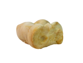 Deer Knuckle Bone: Four-Sided 