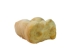Deer Knuckle Bone: Four-Sided - 1137-32 (Y2LRD)
