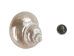 Natural Pearl Polished Turbo Imperialis Shell: Large - 1143-P-PL-L (Y3LRI)