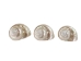 Natural Pearl Polished Turbo Imperialis Shell: Large - 1143-P-PL-L (Y3LRI)