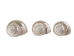 Natural Pearl Polished Turbo Imperialis Shell: Medium - 1143-P-PL-M (Y3LRB)