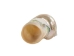 Natural Pearl Polished Turbo Imperialis Shell: Small - 1143-P-PL-S (Y3L)
