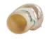 Natural Pearl Polished Turbo Imperialis Shell: Extra Large - 1143-P-PL-XL (Y3LRU)