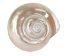 Natural Pearl Polished Turbo Imperialis Shell: Extra Large - 1143-P-PL-XL (Y3LRU)