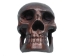 Ecuadorian Wooden Skull: Large - 1170-L-AS (Y1J)