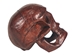 Ecuadorian Wooden Skull: Medium - 1170-M-AS DISC