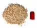 Assorted Small & Broken Loose Bobcat Bones (5 lbs) - 1180-SB-BOB (Y1MC10)