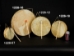 Round Rawhide Drum with Stick: 11.5" to 12" - 1228-12 (Y2DRD)