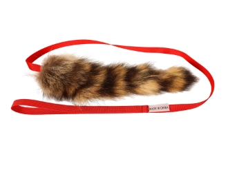 Raccoon Tail Dog Training Tool 