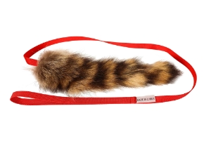 Raccoon Tail Dog Training Tool 
