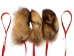 Finn Raccoon Tail Dog Training Tool - 1279-DF01-AS (Y1IRF)
