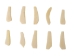 Replica Water Buffalo Tooth Bone Pendant with Hole - 128-WBT-AS (Y1MC01)