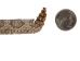 5/8" Real Prairie Rattlesnake Hat Band with Rattle: Light Color - 1282-HB162RRL (Y1EC01)
