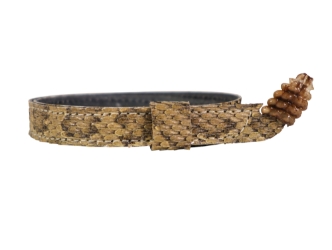 5/8" Real Prairie Rattlesnake Hat Band with Rattle: Medium Color rattlesnake hatbands