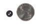 Black Mussel Button: 14L (9.2mm or 0.362") - 1363-14L (Y1J)