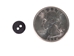 Black Mussel Button: 14L (9.2mm or 0.362&quot;) - 1363-14L (Y1J)