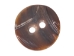 Black Mussel Button: 24L (15.0mm or 0.59") - 1363-24L (Y1J)
