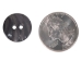 Black Mussel Button: 28L (17.8mm or 0.701") - 1363-28L (Y1J)